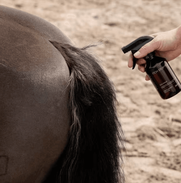 Grooming Deluxe Itch Stop Plus