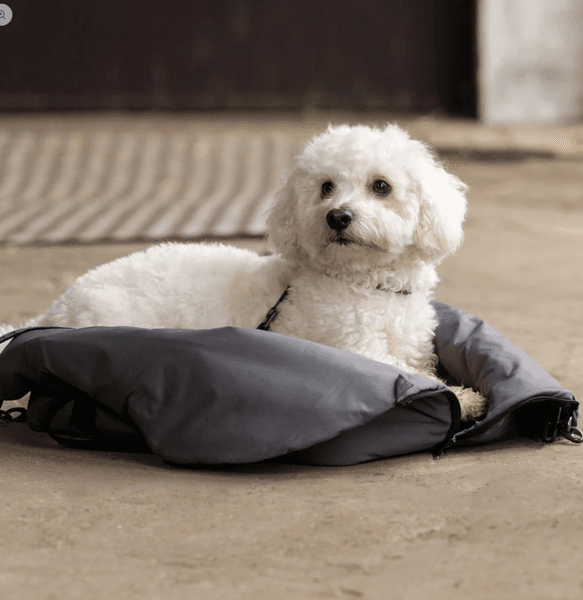 KLMacey Dog Blanket Bag